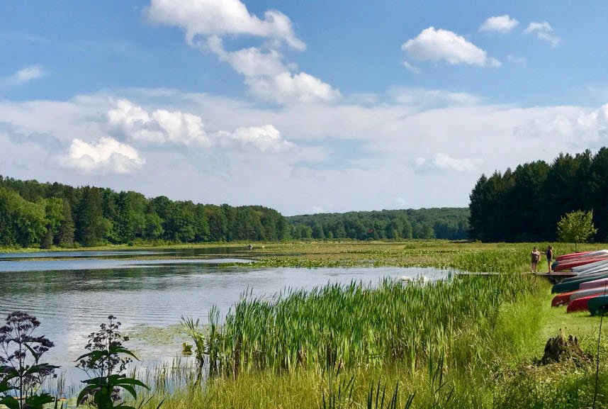 Black Moshannon State Park, Pennsylvania, USA